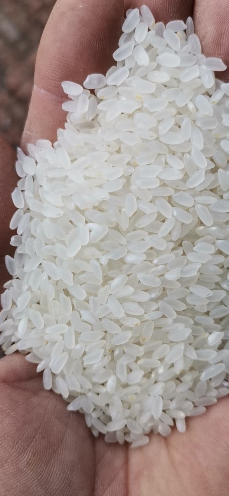 大米批发行业的市场趋势